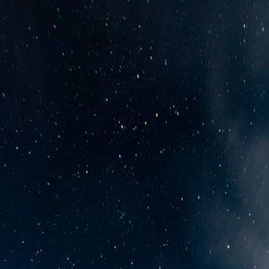 Meet your Posher, Tami